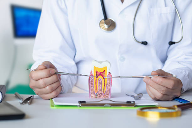 Best Emergency Root Canal Treatment in Reidland, KY